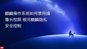 麒麟操作系统如何禁用摄像头权限 银河麒麟隐私安全控制
