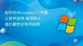 如何在windows 11中禁止软件联网 使用防火墙拦截特定程序联网