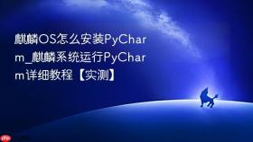 麒麟OS怎么安装PyCharm_麒麟系统运行PyCharm详细教程【实测】