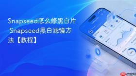 Snapseed怎么修黑白片 Snapseed黑白滤镜方法【教程】