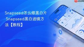 snapseed怎么修黑白片 snapseed黑白滤镜方法【教程】