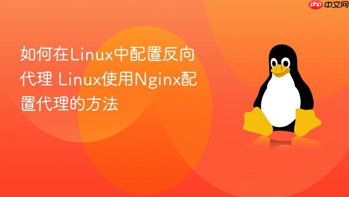 如何在linux中配置反向代理 linux使用nginx配置代理的方法