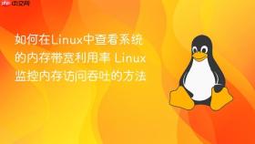 如何在linux中查看系统的内存带宽利用率 linux监控内存访问吞吐的方法