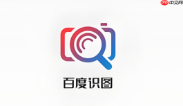 百度识图最新入口 百度识图在线使用入口网页版