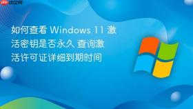 如何查看 Windows 11 激活密钥是否永久 查询激活许可证详细到期时间