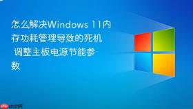 怎么解决windows 11内存功耗管理导致的死机 调整主板电源节能参数