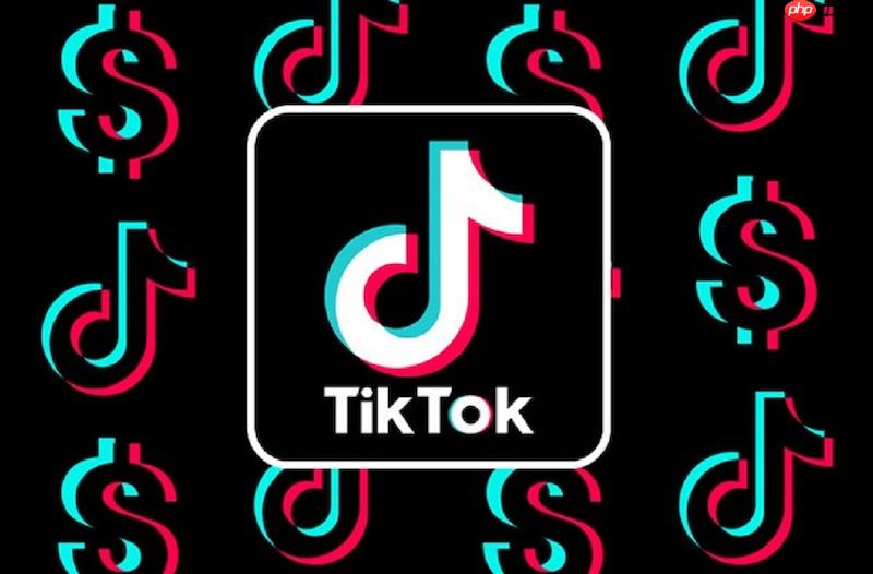tiktok怎么投feed流广告 tiktok投放广告方法