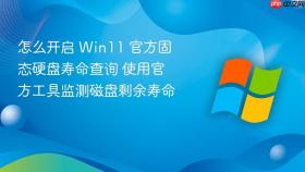怎么开启 win11 官方固态硬盘寿命查询 使用官方工具监测磁盘剩余寿命