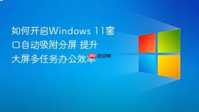 如何开启windows 11窗口自动吸附分屏 提升大屏多任务办公效率