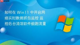 如何在 Win11 中开启网络实时数据抓包监控 监控后台流氓软件偷跑流量