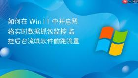 如何在 win11 中开启网络实时数据抓包监控 监控后台流氓软件偷跑流量