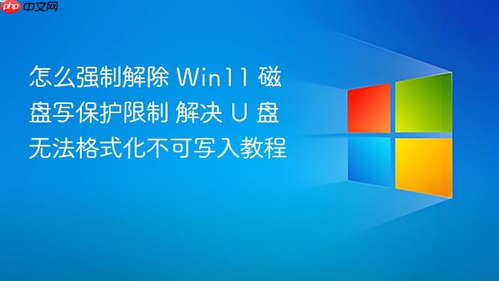 怎么强制解除 win11 磁盘写保护限制 解决 u 盘无法格式化不可写入教程