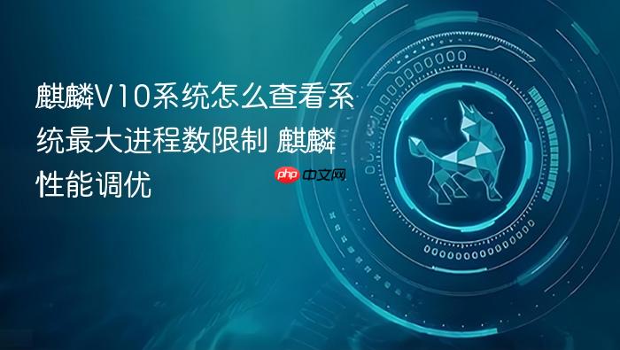 麒麟v10系统怎么查看系统最大进程数限制 麒麟性能调优
