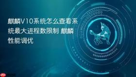 麒麟V10系统怎么查看系统最大进程数限制 麒麟性能调优