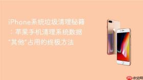 iPhone系统垃圾清理秘籍：苹果手机清理系统数据“其他”占用的终极方法