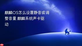 麒麟OS怎么设置静音或调整音量 麒麟系统声卡驱动