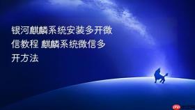 银河麒麟系统安装多开微信教程 麒麟系统微信多开方法