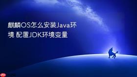 麒麟OS怎么安装Java环境 配置JDK环境变量