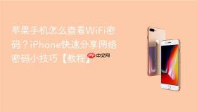 苹果手机怎么查看WiFi密码？iPhone快速分享网络密码小技巧【教程】