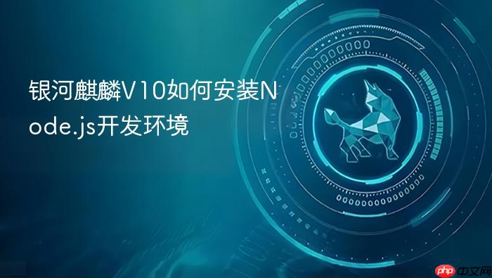 银河麒麟v10如何安装node.js开发环境