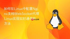 如何在linux中配置nginx支持websocket代理 linux实现实时通信的方法