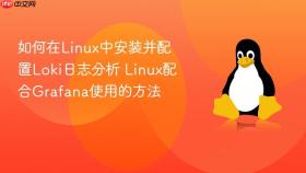 如何在linux中安装并配置loki日志分析 linux配合grafana使用的方法