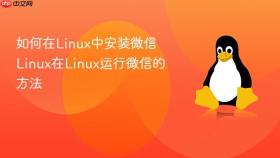 如何在linux中安装微信 linux在linux运行微信的方法