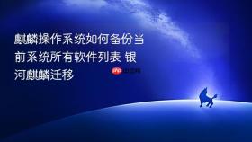 麒麟操作系统如何备份当前系统所有软件列表 银河麒麟迁移