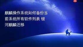 麒麟操作系统如何备份当前系统所有软件列表 银河麒麟迁移