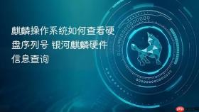 麒麟操作系统如何查看硬盘序列号 银河麒麟硬件信息查询