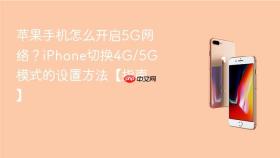 苹果手机怎么开启5g网络？iphone切换4g/5g模式的设置方法【指南】