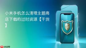 小米手机怎么清理主题商店下载的过时资源【干货】