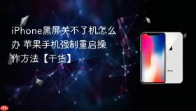 iPhone黑屏关不了机怎么办 苹果手机强制重启操作方法【干货】