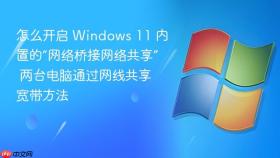 怎么开启 windows 11 内置的“网络桥接网络共享” 两台电脑通过网线共享宽带方法