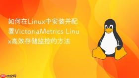 如何在linux中安装并配置victoriametrics linux高效存储监控的方法