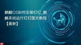 麒麟os如何安装钉钉_麒麟系统运行钉钉图文教程【最新】