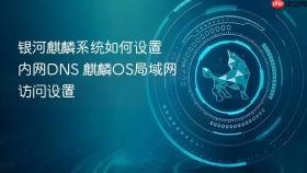 银河麒麟系统如何设置内网DNS 麒麟OS局域网访问设置