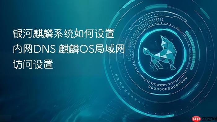 银河麒麟系统如何设置内网dns 麒麟os局域网访问设置