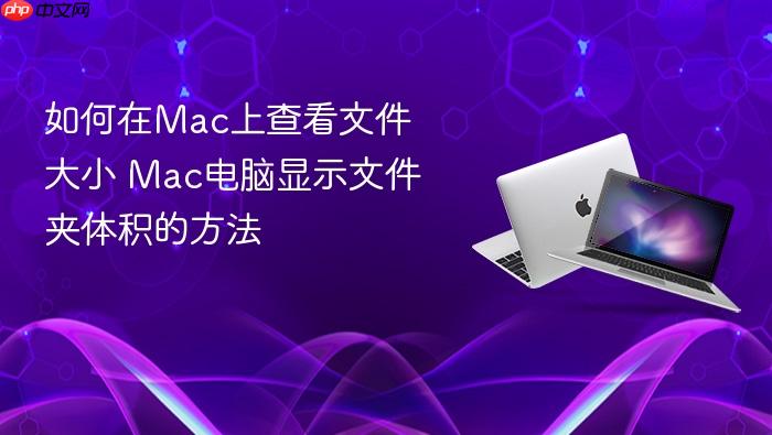 如何在mac上查看文件大小 mac电脑显示文件夹体积的方法