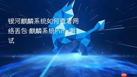 银河麒麟系统如何查看网络丢包 麒麟系统ping测试