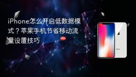 iPhone怎么开启低数据模式？苹果手机节省移动流量设置技巧