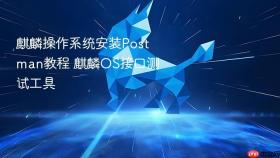 麒麟操作系统安装postman教程 麒麟os接口测试工具