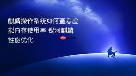 麒麟操作系统如何查看虚拟内存使用率 银河麒麟性能优化