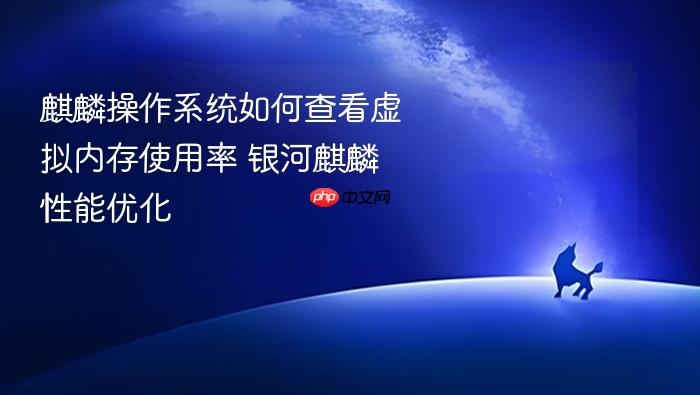 麒麟操作系统如何查看虚拟内存使用率 银河麒麟性能优化