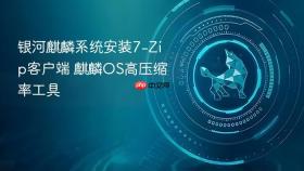 银河麒麟系统安装7-Zip客户端 麒麟OS高压缩率工具