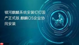 银河麒麟系统安装钉钉国产正式版 麒麟OS企业协同安装