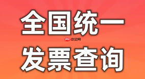 全国统一发票信息查验入口 支持全电及纸质发票真伪核对