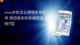 vivo手机怎么清理其他文件 找回丢失的存储空间【技巧】