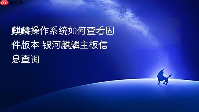 麒麟操作系统如何查看固件版本 银河麒麟主板信息查询