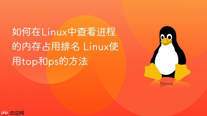 如何在linux中查看进程的内存占用排名 linux使用top和ps的方法